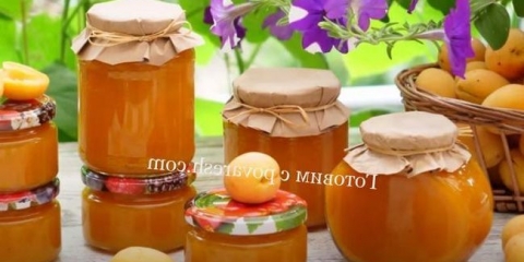 Gusta zastoj od marelica za zimu (recept za džemove marelice)