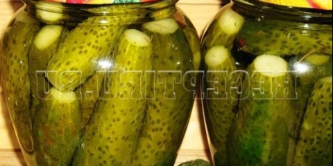 Hrskavi konzervirani korijeni