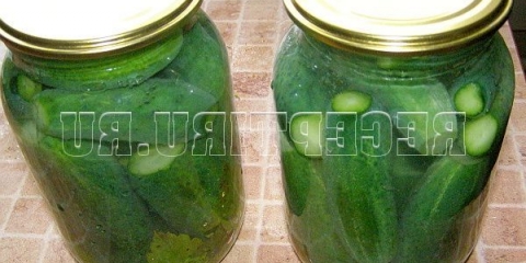 Konzervirani hrskavi krastavci