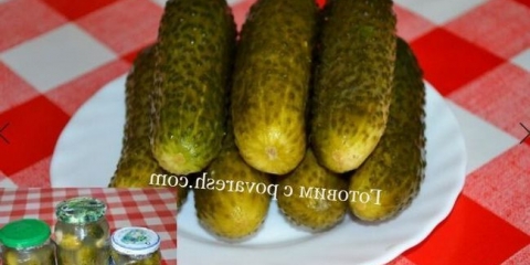 Hrskavi slani krastavci za zimu u banama sa hladnim načinom da okusi poput barela