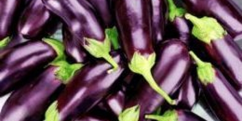 Kavijar od patlidžana za zimu: najbolji recepti koji su uvijek dobiveni i svi