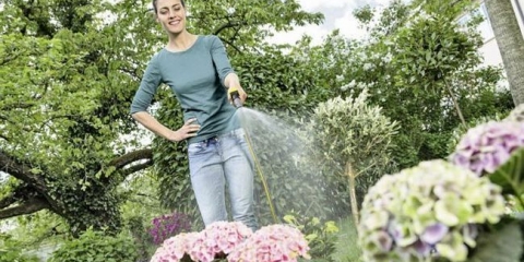 Kako i zašto voda skrivena sirće