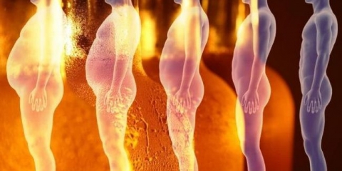 Koji su hormoni sadržani u pivu, da li su opasni za muškarce, žene?