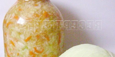 Saune kupusa u tegli za zimu