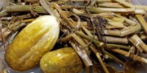 Classic sauer krastavac recepti