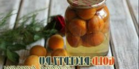 Kompot sa marelice za zimu, recept sa fotografijom