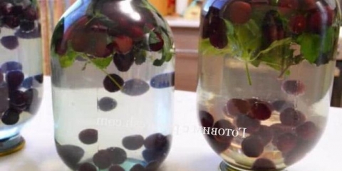 Kompot iz trešnje sa bosiljom i melisom u banci od 3 litre