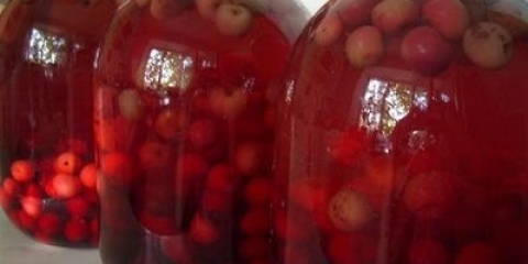 Kompot trešnje sa crnim ribizlom