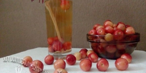 Koptujte od trešnje sa kostima za zimu