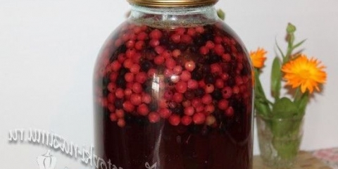 Kompot sa crne i crvene ribizle