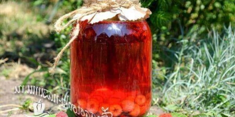 Kompote iz crne ribizle i maline za zimu na 3 litarskoj posudi bez dvostrukog punjenja i sterilizacije