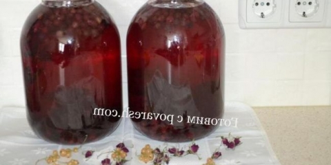Kompot sa crne ribizle sa mentom za zimu: recept za 3 litra može
