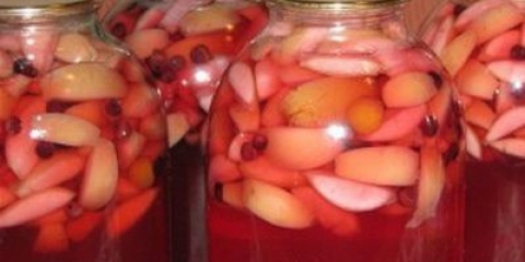 Kompot sa crnog rowana i jabuka