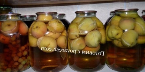 Kompot sa jabuka za zimu na 3 litaru bez sterilizacije jednostavnim receptom