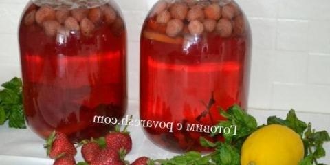 Kompote sa jagoda sa mentom i limunom za zimu (recept za 3 litre)
