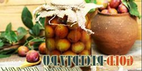 Kompot sa šljiva za zimu, šljiva kompotuje recept sa fotografijom