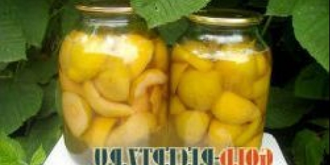 Konzervirana kruška u šećernom sirupu