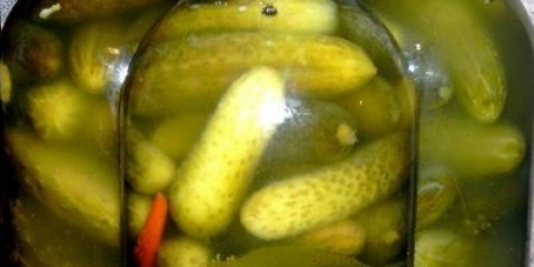 Konzervirani sauri cuccumbers