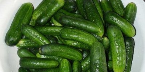 Konzervirani krastavci sa senfom