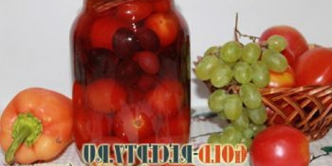 Konzervirani rajčica sa grožđem za zimu