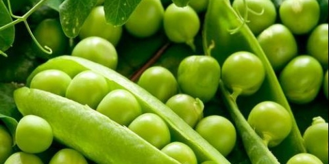 Konzervirani zeleni grašak sa mrkvom za zimu