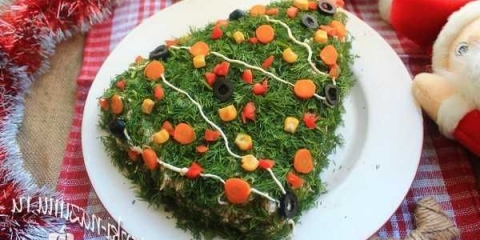 Lijepa i ukusna salata novogodišnja mirringbone