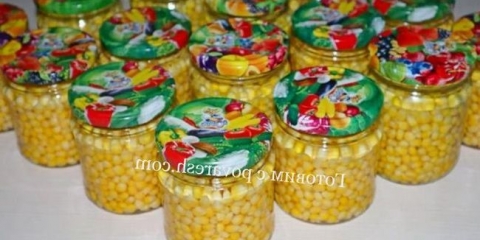 Kukuruzni konzervirani za zimu bez sterilizacije