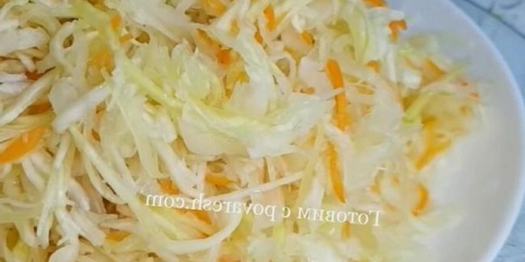 Sauer kupus u slanici bez sirćeta na 3 litarskoj posudi