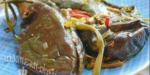 Sauer punjeni patlidžani