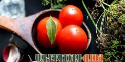 Sauciran rajčica, recept za saur sol paradajz