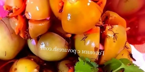 Sauer zelena rajčica punjena češnjakom