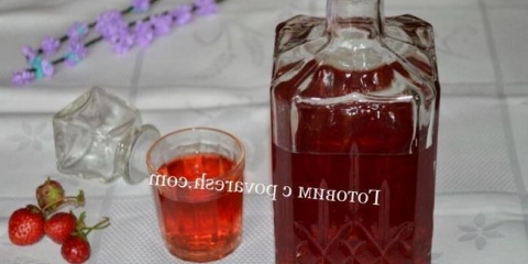 Šumska jagoda alkoholna pića - recept za kućni lik za liker na vodki