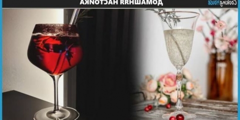 Najbolji recepti za mitovanje domaćih u mjesečnoj i drugom snažnom alkoholu