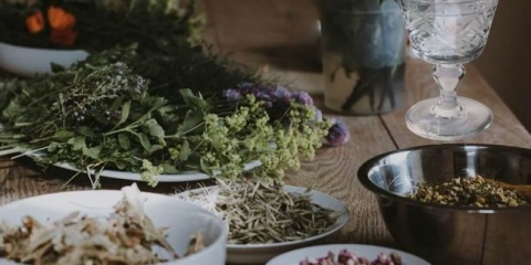 Najbolji recepti pića iz mjesečeve infuziju na biljke