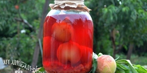 Najbolji recept kompotuje od breskve za zimu na tegli od 3 litre sa maline