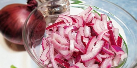 Marinirani luk u salatu sirće