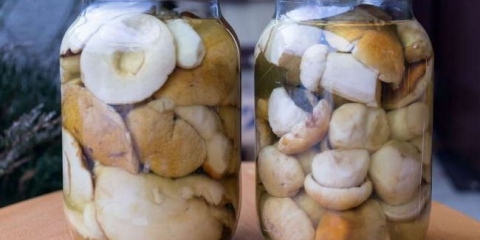 Marinada za bijelce za zimu sa sirćetom i bez