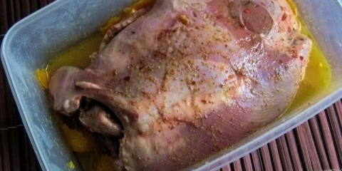 Marinada za turkey courcing recept sa fotografijama