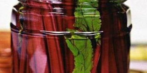 Drveće marinirane repe za zimu ruski egzotični