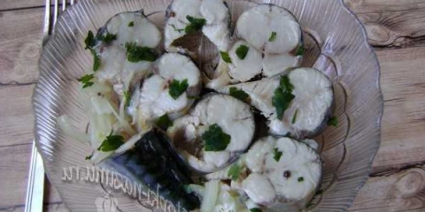 Marinirano skuša sa lukom i brzom sirgaru za 2 sata