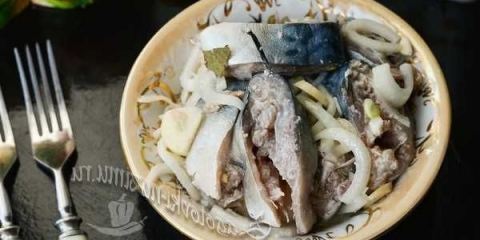 Marinirano skuša u tegli s lukom