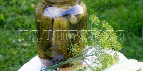 Marinirani hrskavi krastavci