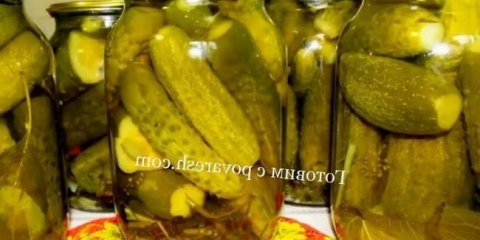 Marinirani krastavci bez sterilizacije na banci 1 litre