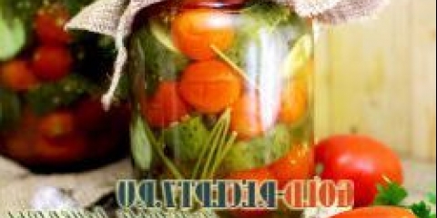 Marinirana cherry rajčica sa krastavcima grickalica