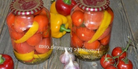 Marinirani paradajz za zimu u 1.5 litarskih banaka