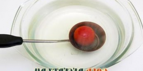 Kiseli paradajz ukusni recepti korak po korak sa fotografijama