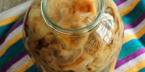 Marinirani ryzhikov: najbolji recepti za pravi gurman