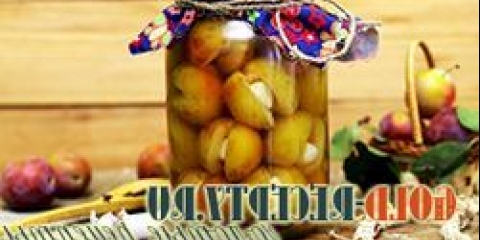 Marinirane šljive za zimu, kisele šljive sa trešnjama. Marinirane šljive sa belim lukom.