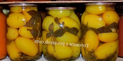 Marinirani žuti rajčici za zimu bez sterilizacije na jednostavnom receptu