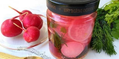 Marinirani lukavi za zimu